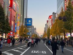 -秋叶原电器街