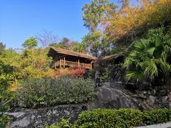 -深圳国际园林花卉博览园