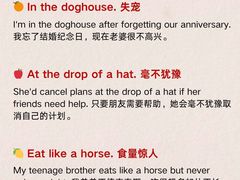 -I-Shine英语国际教育(御桥张江中心)
