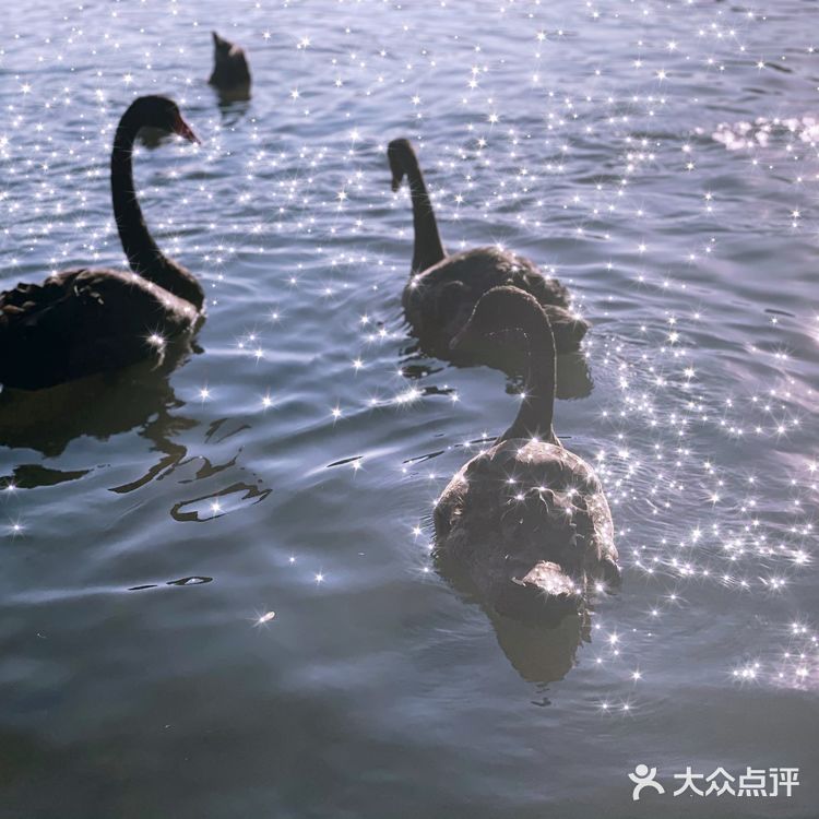 ❤️〖必打卡经景点----厦门最大湿地公园〗
