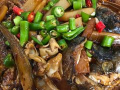 -张鸟园农家乐(张鸟园店)