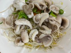 白灼爽口八爪鱼-南记食粥坊·宵夜大排档(莲花总店)