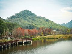 -广州市石门国家森林公园