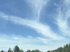 -御道口草原森林风景区