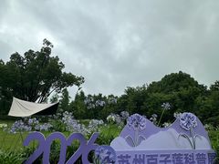 -苏州上方山国家森林公园