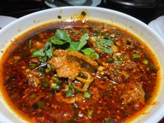 水煮肉-陈麻婆豆腐总店