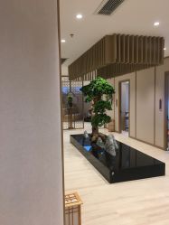 -HQ半永久纹绣纹眉