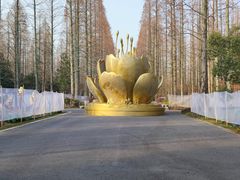 -东平国家森林公园