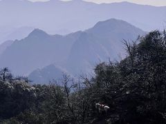 -崀山风景名胜区