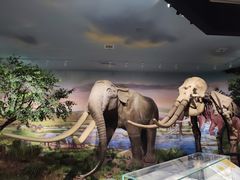 -湖南省地质博物馆