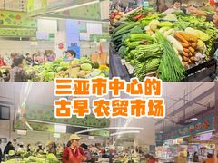 -金鸡岭农贸市场