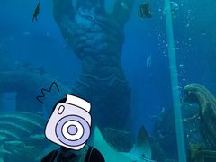 -哈尔滨波塞冬海底世界