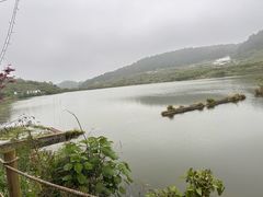 -南江大塘鱼庄