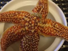-诸暨耀江开元名都大酒店