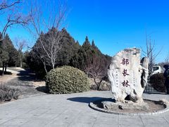 -北坞公园