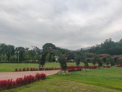 -东南花都花博园