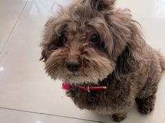 -佳雯宠物医院(金华南路分院)