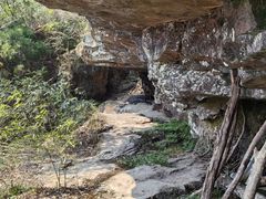 -天目山大树王景区