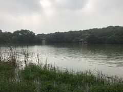 -紫霞湖公园