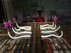 -天津津利华酒店