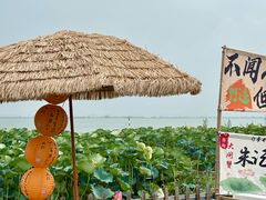-七的湖·晚芳亭·阳澄湖农家菜·大闸蟹(莲花岛店)