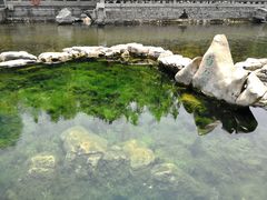 -教师之家赵家羊汤馆(东青龙街店)