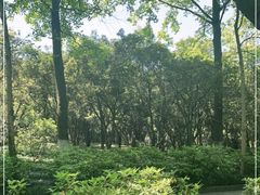 -杭州植物园