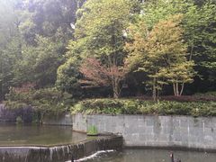 -绿城玫瑰园·翡翠庭中餐厅(之江路店)