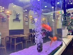 -李先生牛肉面大王(成都东站西广场店)