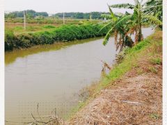 -南沙十九涌渔人码头-南门