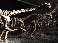 -世界恐龙谷景区