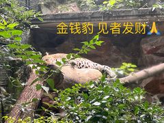 -杭州动物园