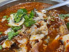 -新疆食府(华龙店)