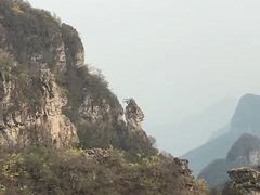 -王莽岭风景区