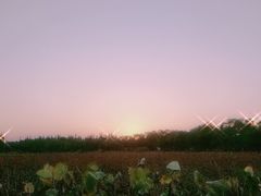 -瑶湖郊野森林公园