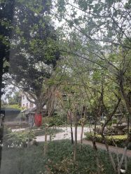 点击看大图 -莲生母婴月子中心(清水河公园店)
