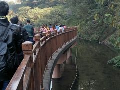 -重庆彩云湖湿地公园