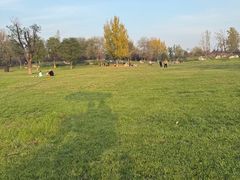 -汉长安城未央宫国家考古遗址公园