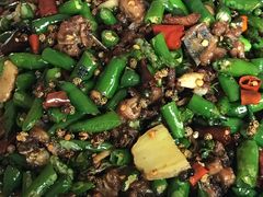 -铁山坪森林公园