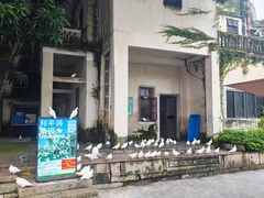 -赤坎·广东华侨国际旅游度假区