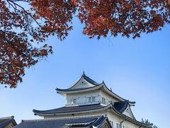 -名古屋城