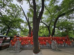 -大槐树寻根祭祖园