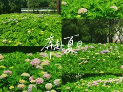 -西安博物院