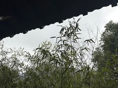 -南京老山国家森林公园