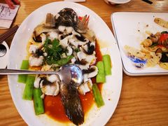 清蒸笋壳鱼-德胜轩正宗顺德菜(宝安沙井会展中心店)