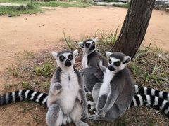 -秦皇岛野生动物园