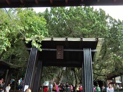 -日月潭