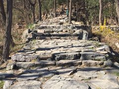 -北京鹫峰国家森林公园
