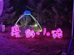 -莫子山公园