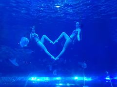 -华夏文旅海洋公园